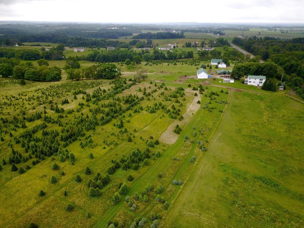 Old Log House Plantation Inc: 8656 State Route 13 NW, Somerset, OH 43783